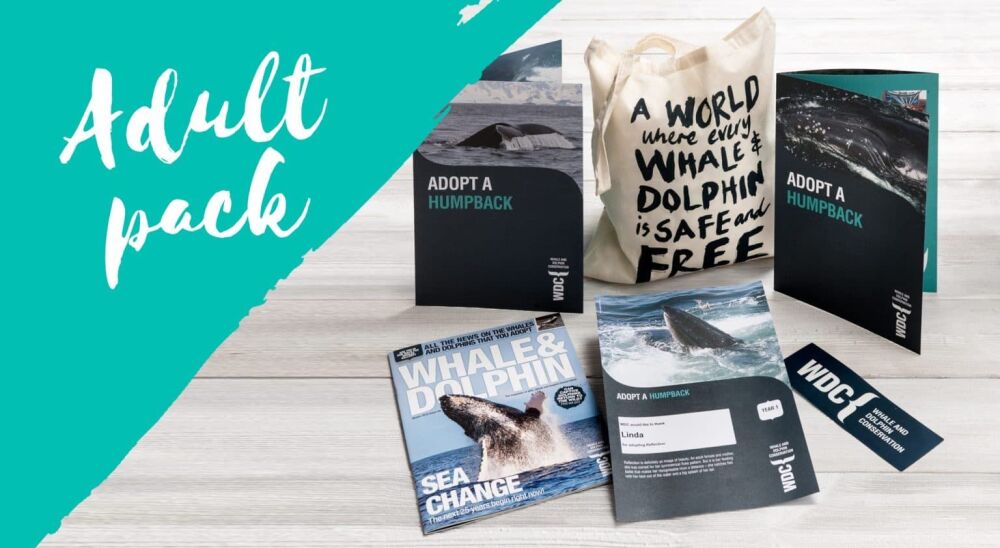 This is the Adult Pack