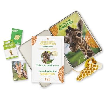 Find out about the Giraffe Adoption