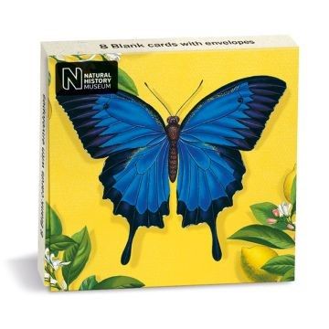 This Ulysses Butterfly Greetings Cards Pack is from the Natural History Museum. 