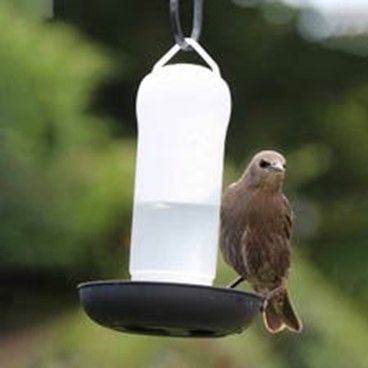 This Henry Bell Essentials Wild Bird Water Drinker Feeder is just £4.99