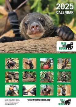 There's a Free the Bears 2025 Calendar, perfect for bear lovers!