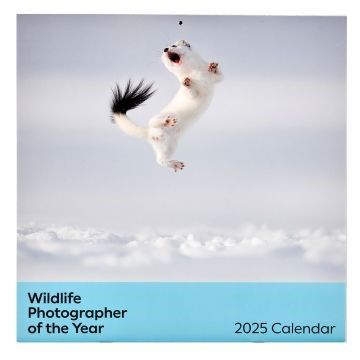 How about the Wildlife Photographer of the Year 60 Calendar 2025?