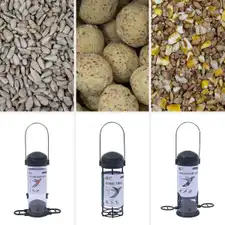Give them a gift to get them started with feeding the birds!