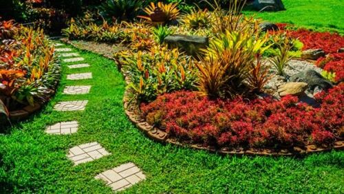 And there's a Garden Design and Maintenance Diploma Online Course for One Person