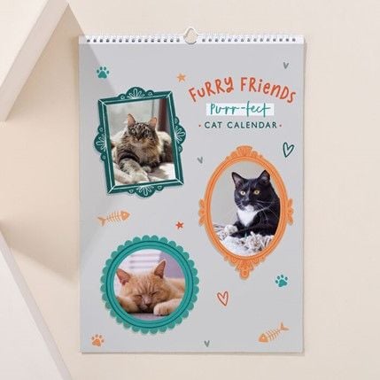 There's a calendar to celebrate your furry feline friend - purrfect!