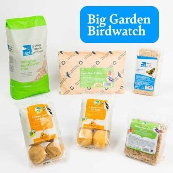 Give them a gift ready for the Big Garden Birdwatch in January 2025