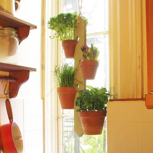 This is the Four Pot Hanging Plant Holder