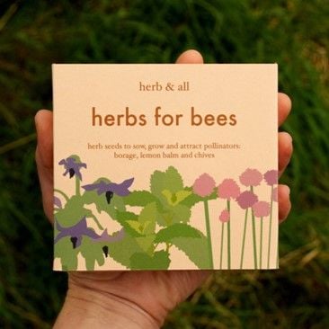 Grow your own herbs for bees and other pollinators!