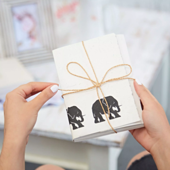 Paper High have an Elephant Dung Letter Writing Set