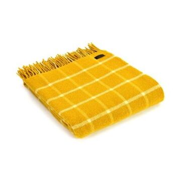 There's an Yellow Check Wool Throw from English Heritage