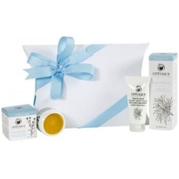 This is the Odylique Gardeners' Rescue Kit, available from Natural Collection