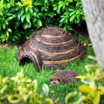 Give an Igloo Hedgehog Home and help hedgehogs!