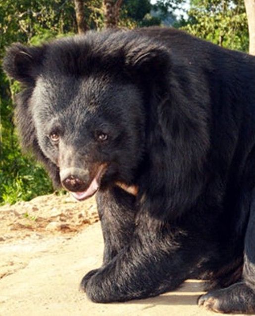 You could sponsor Hope, and help provide for her daily needs, bless her.