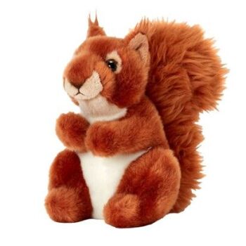 There's a Red Squirrel Soft Toy from the Natural History Museum