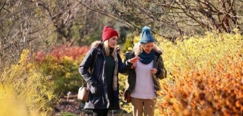 What about RHS Garden Wisley Entry for two? 
