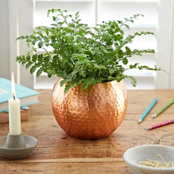 Bring nature indoors with this Hammered Iron Round Planter