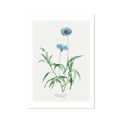 This would add a lovely touch to home decor - bring nature inside!