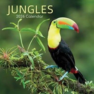This beautiful calendar has stunning pictures of jungle wildlife