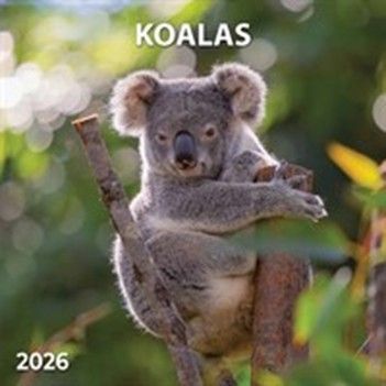 Go through 2026 with this Koala Calendar to help you keep track of all those important events and things in your life!