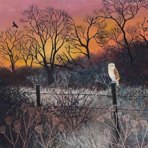 The Midwinter dusk Barn Owl Christmas cards (pack of 10)