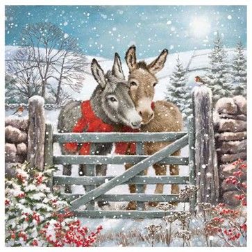 Just look at these donkeys snuggling up!