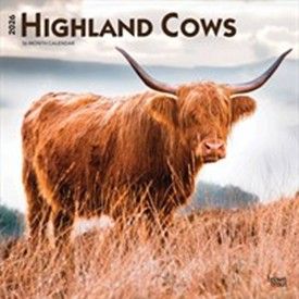 How about a calendar featuring Highland Cows to see you through 2026?