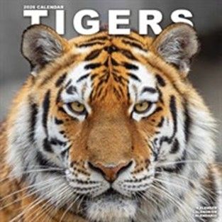 The Calendar Club has some great big cat calendars for 2026!