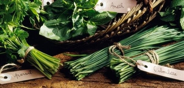 How about an online course: Learning with Experts: The Herb Garden How about an online course: Learning with Experts: The Herb Garden