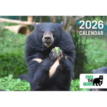 You could give a bear lover a Free the Bears 2026 calendar!