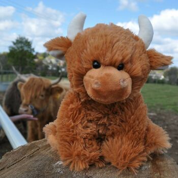 This is a Highland Cow Brown Plush Soft Toy.  Snuggle up! 