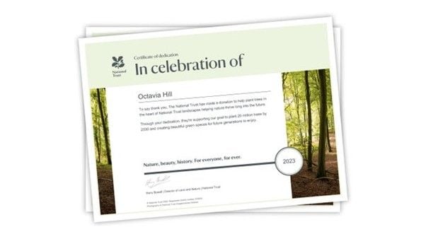 Plant a tree in memory of a loved one Plant a tree in memory of a loved one