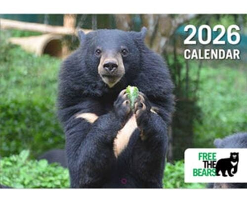 Give a bear lover a Free the Bears 2026 Calendar! Give a bear lover a Free the Bears 2026 Calendar!