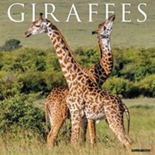 Give a Giraffes Calendar 2026 Give a Giraffes Calendar 2026