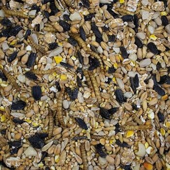 This High Energy Autumn & Winter Mix will support wild birds through the toughest months of the year.