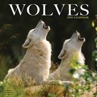 The CalendarClub has this beautiful Wolves Calendar 2026 The CalendarClub has this beautiful Wolves Calendar 2026