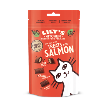 There are Training Treats with Salmon for Cats