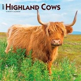 For Highland Cow lovers, there's a Highland Cows Calendar 2027