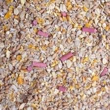This is the Premium No Grow / No Waste / No Husk Wild Bird Seed Mix