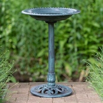 How about this RSPB Bird Bath? How about this RSPB Bird Bath?
