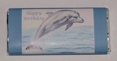 DOLPHIN - large chocolate bar 40g
