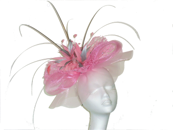 Statement fascinators