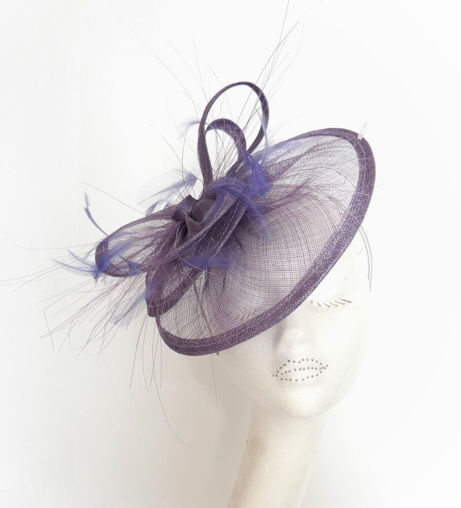 BD1-Wisteria