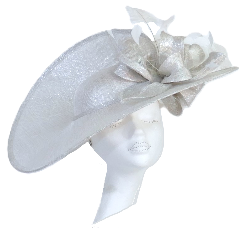 WD5 - Dramatic large split disk hat Metallic White