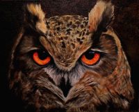 'Mr Owl' Step by Step tutorial on DVD or Live Stream