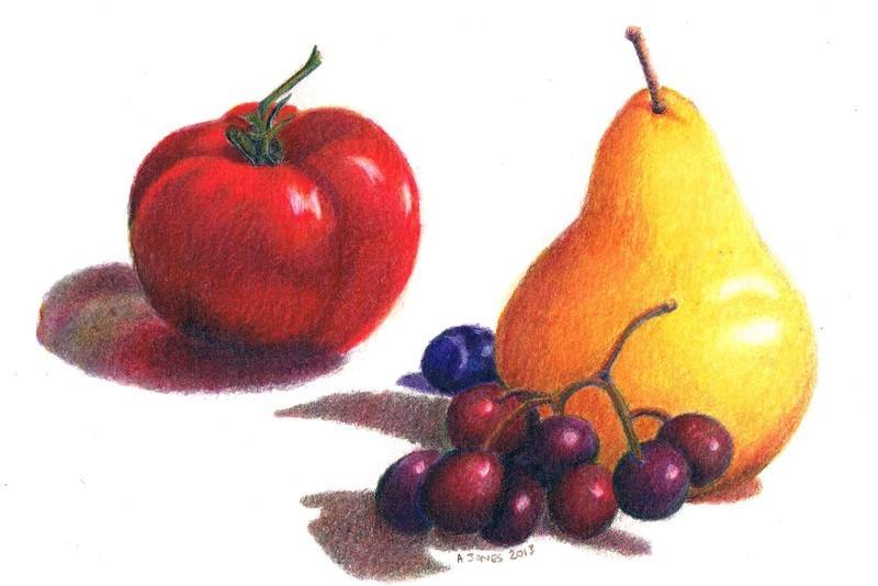 Summer Fruits coloured pencil drawing