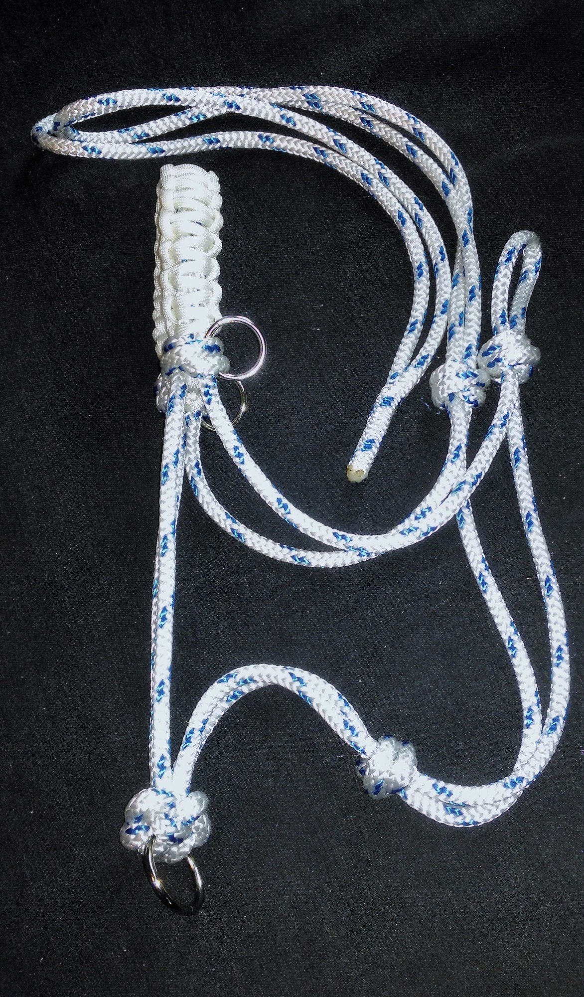 Download Bridle/Halter Combo with Braided Noseband