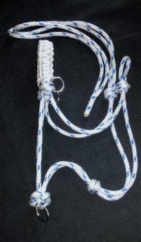 Bridle/Halter Combo with Braided Noseband