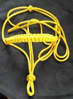 Yellow halter &amp; noseband