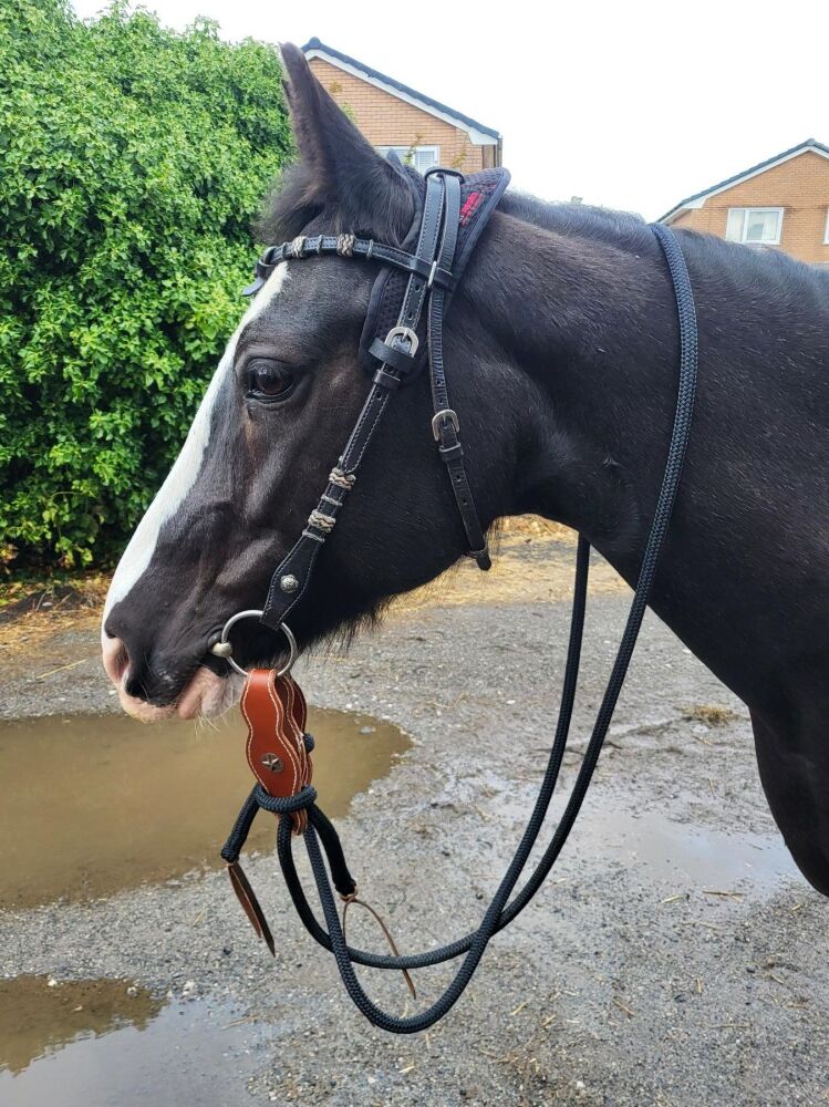Rope Reins with Slobber Straps