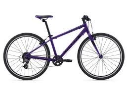 Giant ARX 26 Childrens bike